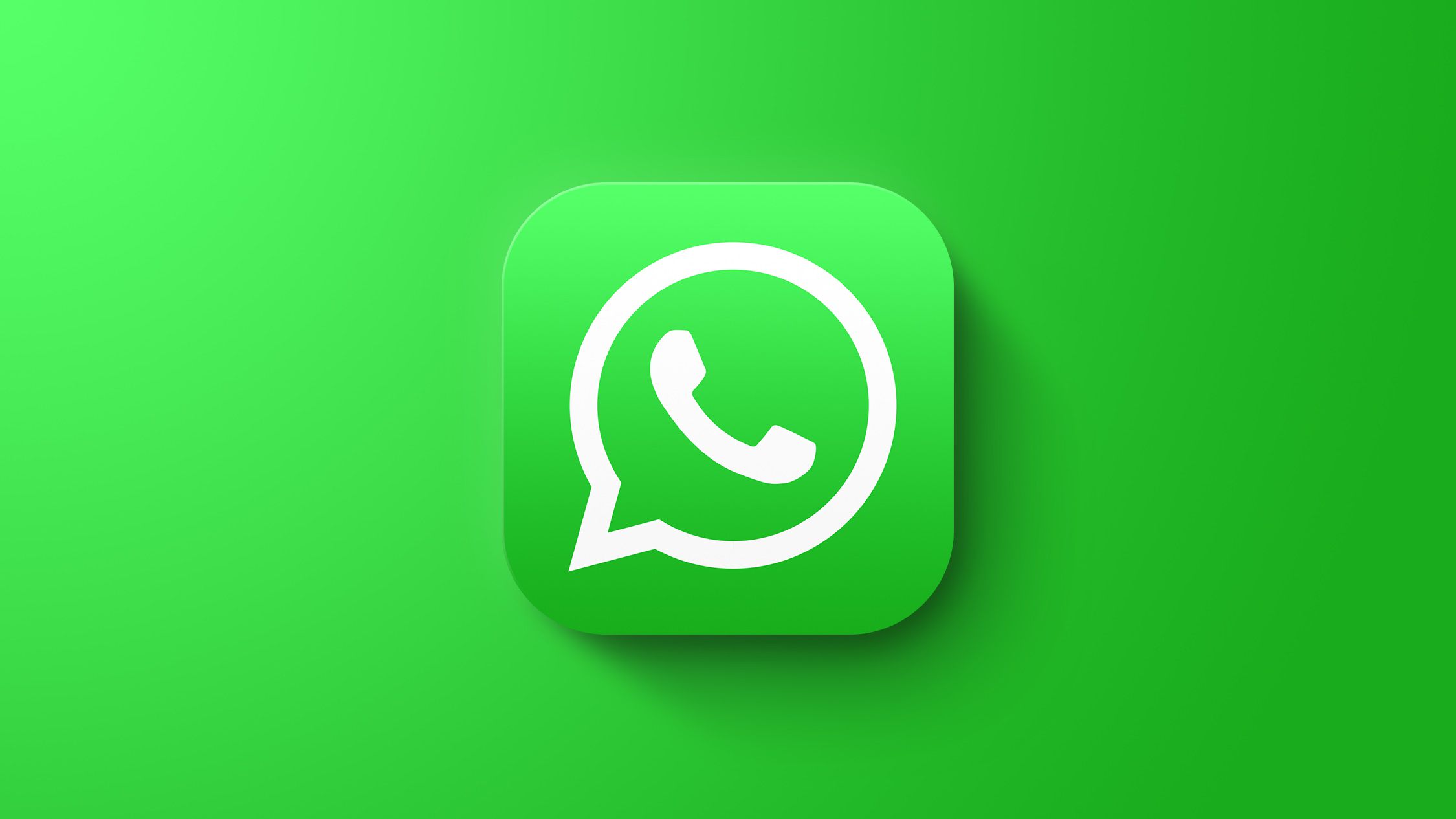WhatsApp (企业认证号 绿标)